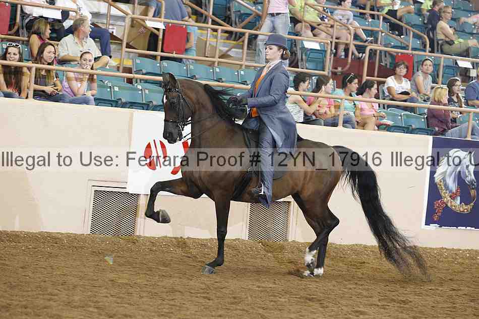 Proof 12yn_17916