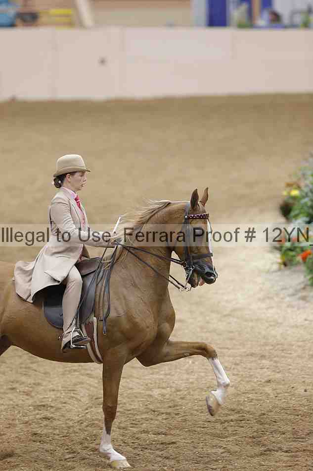 Proof 12yn_17917