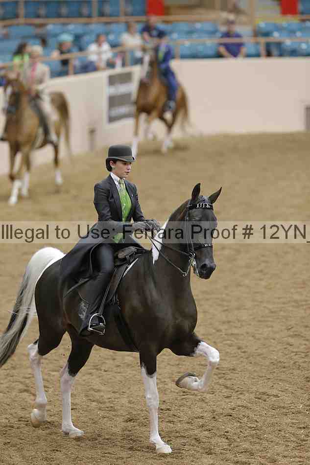 Proof 12yn_17928