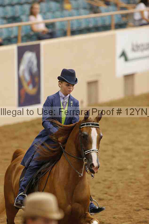 Proof 12yn_17932