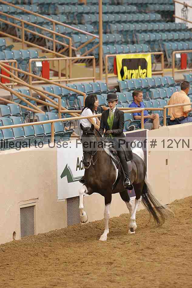 Proof 12yn_17940