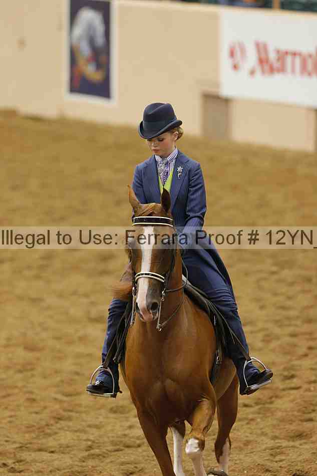 Proof 12yn_17952