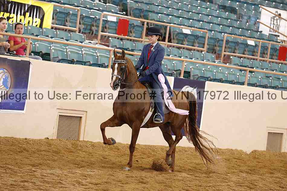 Proof 12yn_17972