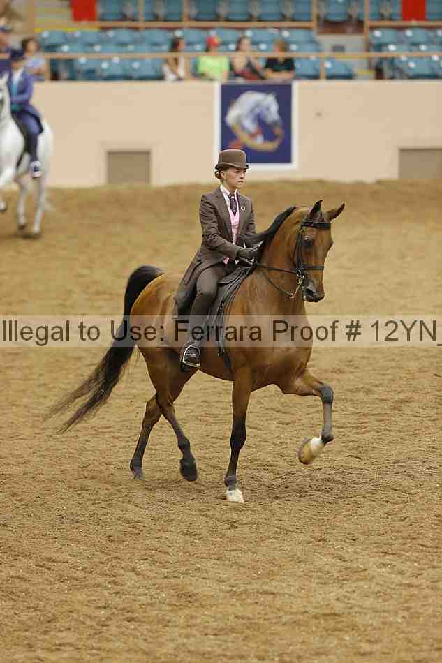 Proof 12yn_18001