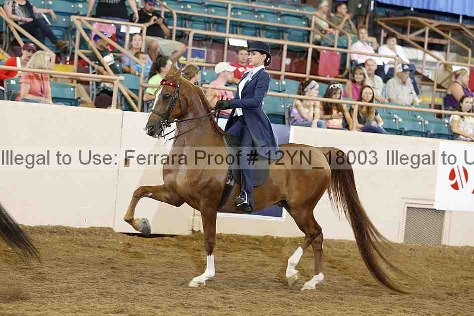 Proof 12yn_18003