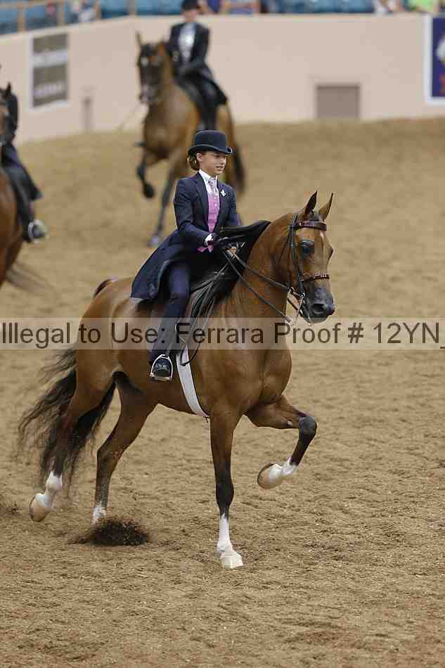 Proof 12yn_18005