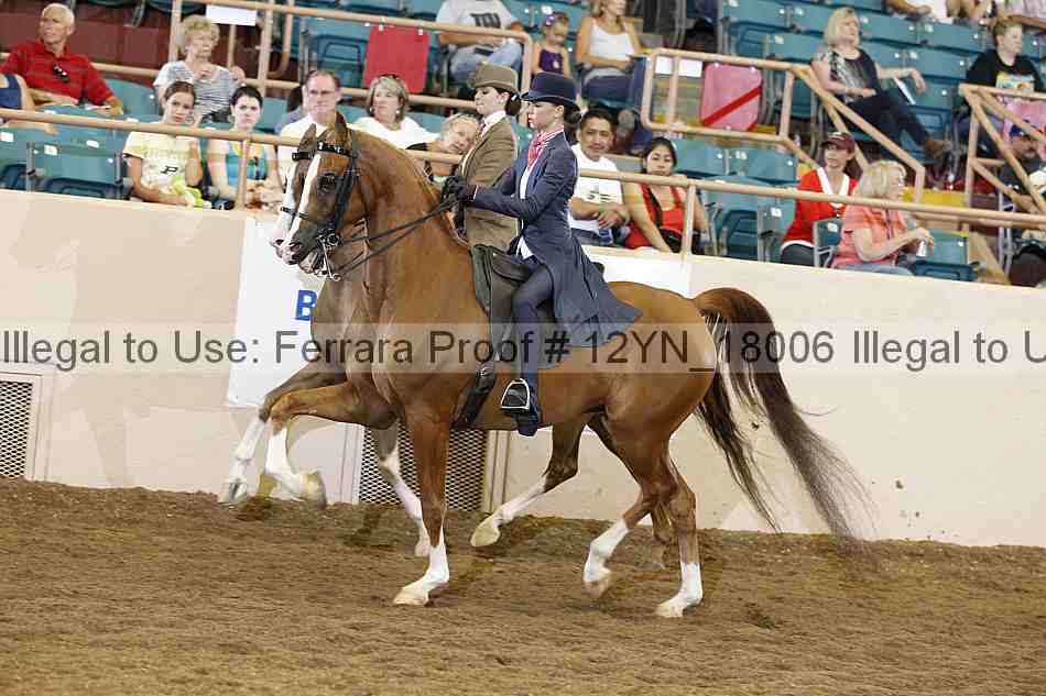 Proof 12yn_18006