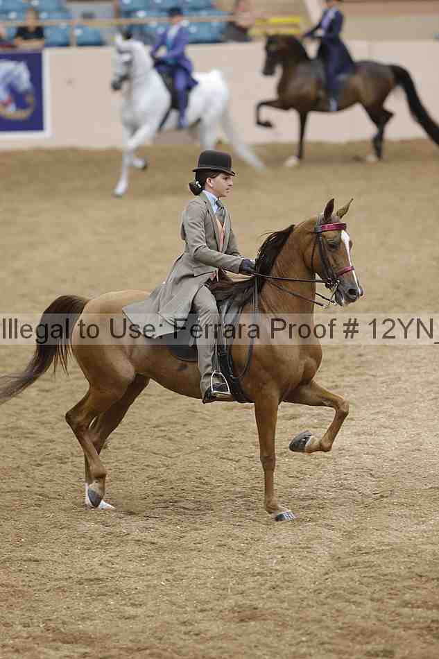 Proof 12yn_18008