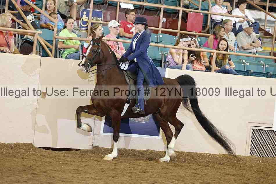 Proof 12yn_18009