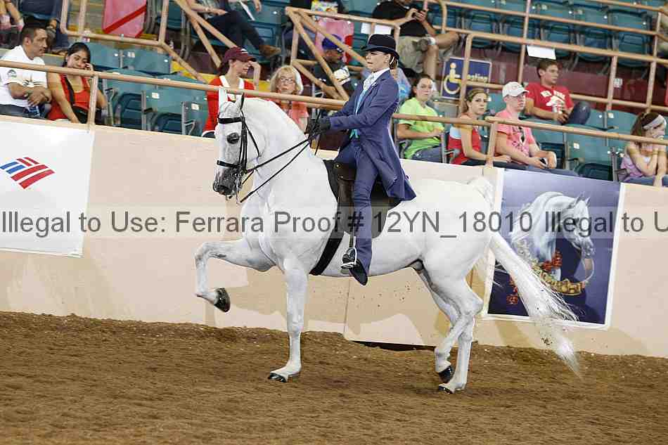 Proof 12yn_18010