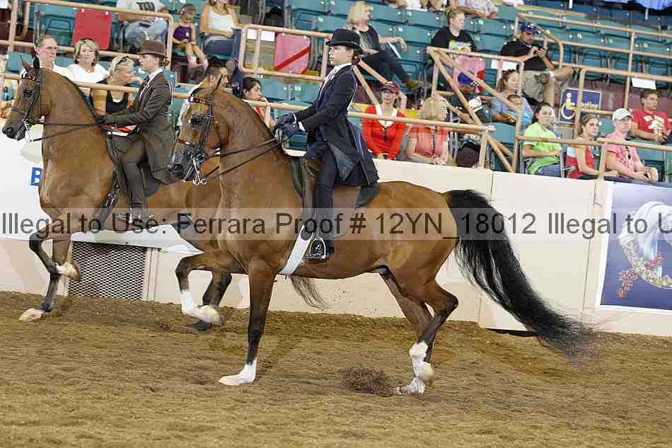 Proof 12yn_18012