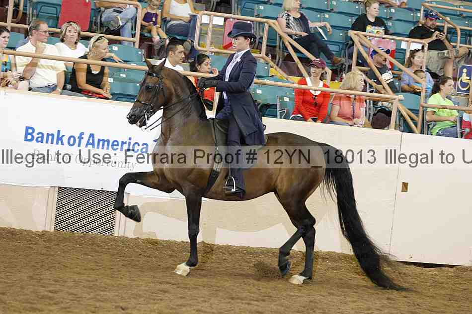 Proof 12yn_18013