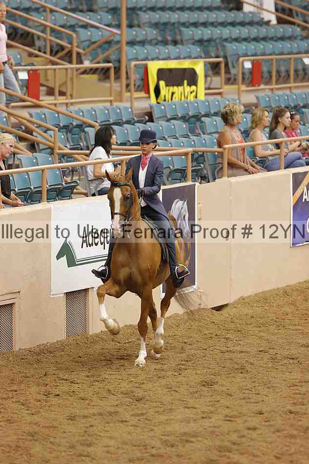 Proof 12yn_18021