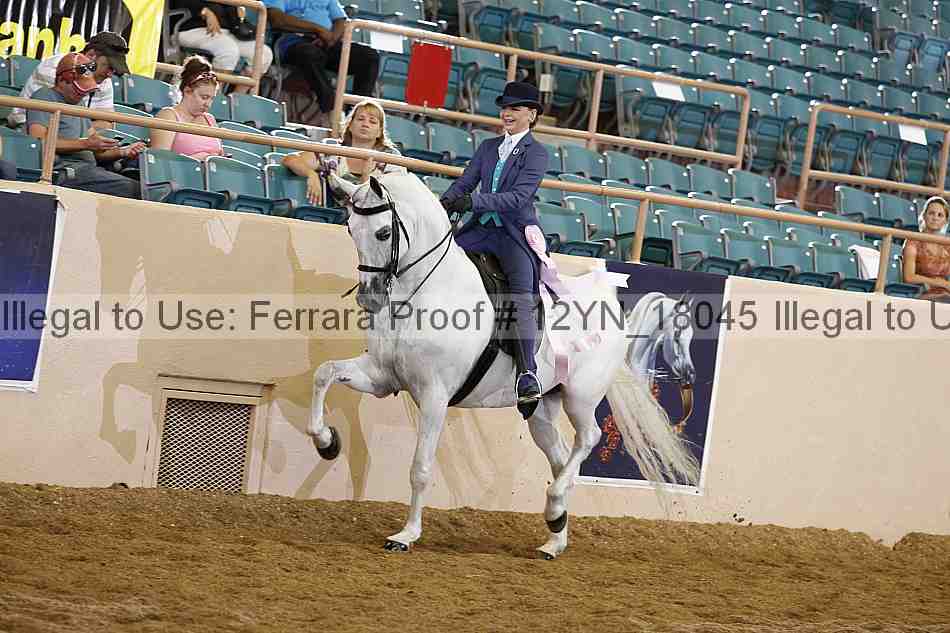 Proof 12yn_18045