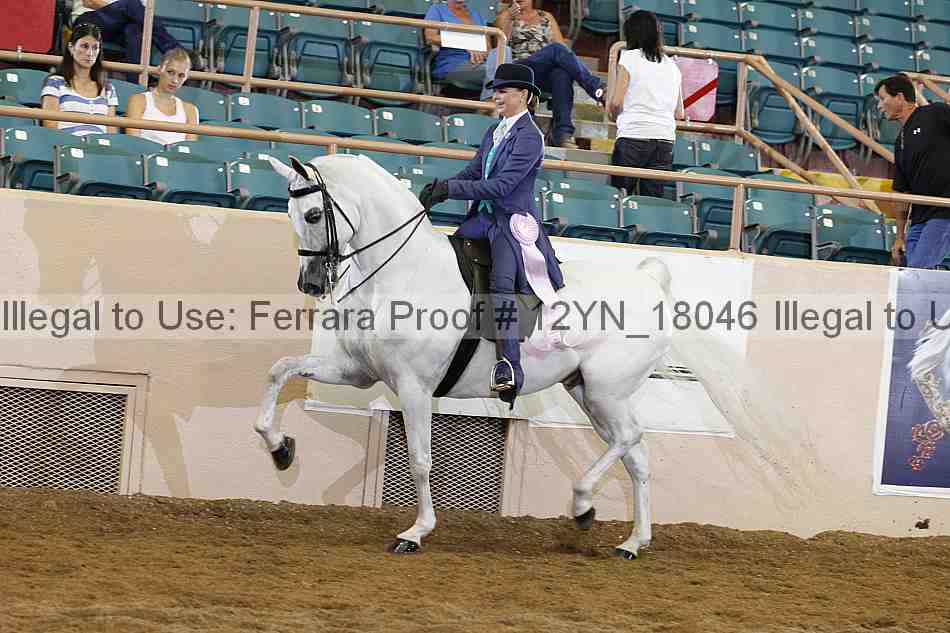 Proof 12yn_18046
