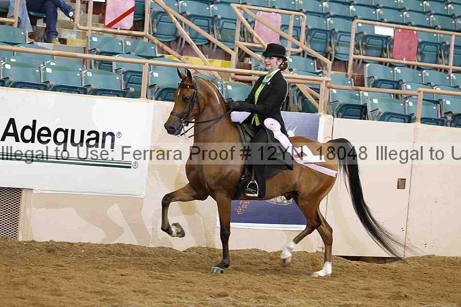 Proof 12yn_18048