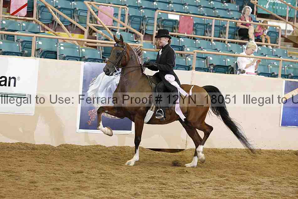 Proof 12yn_18051