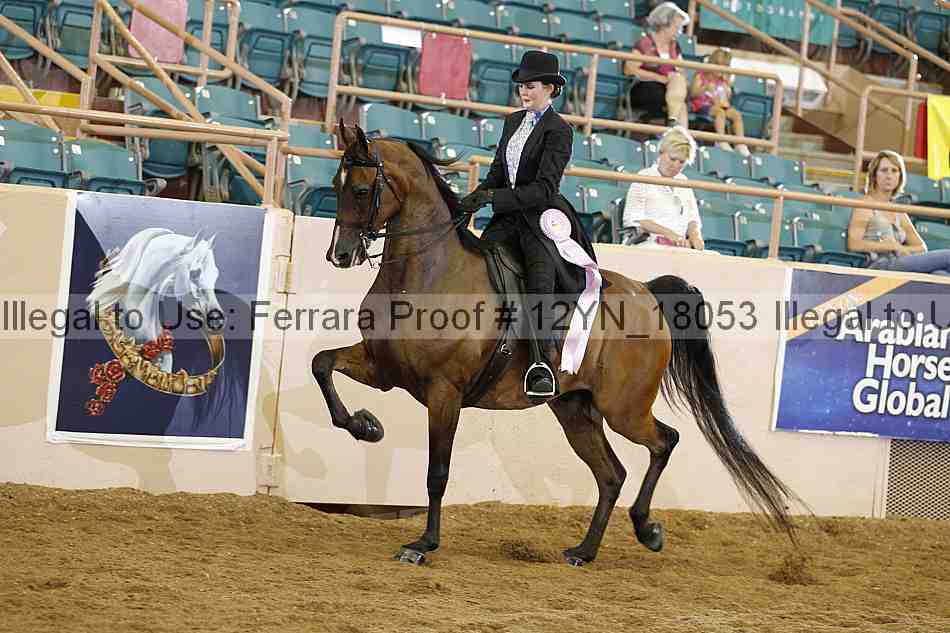 Proof 12yn_18053