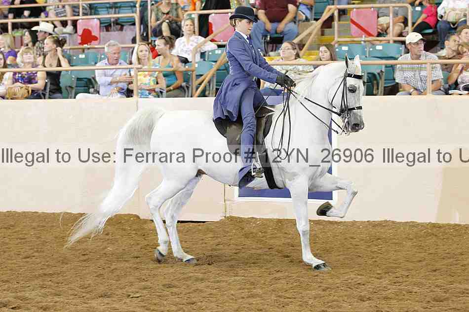 Proof 12yn_26906
