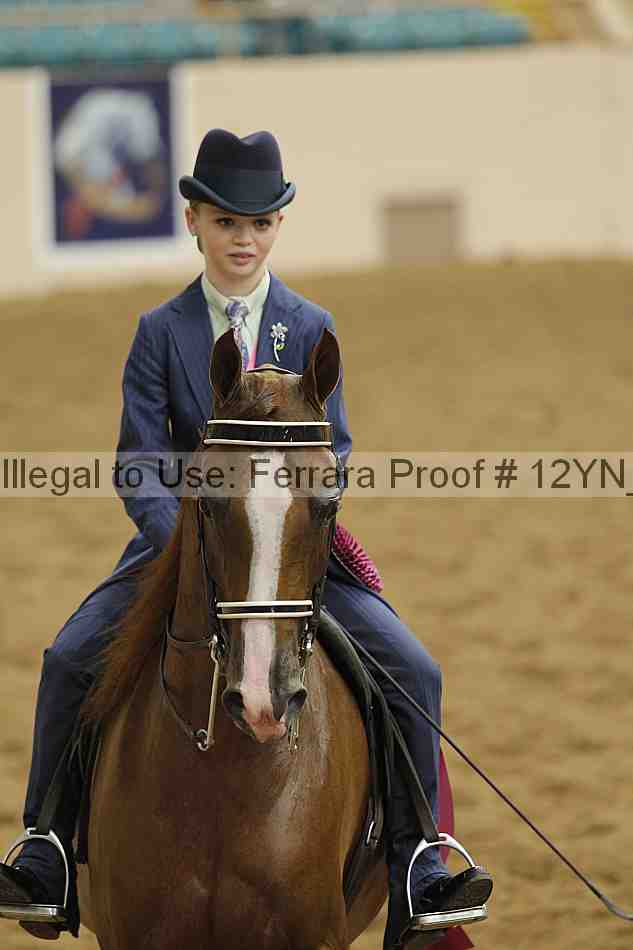 Proof 12yn_26964