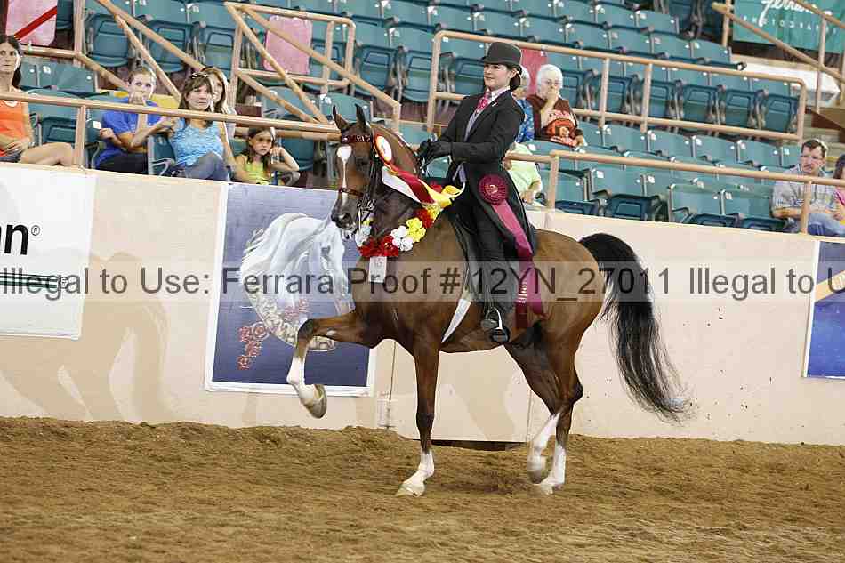 Proof 12yn_27011