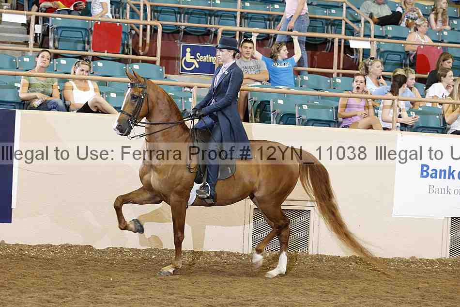 Proof 12yn_11038