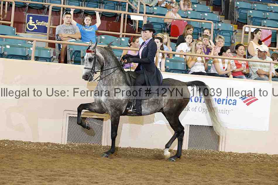 Proof 12yn_11039
