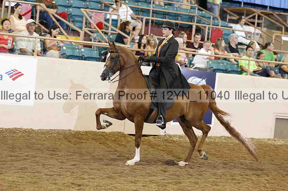 Proof 12yn_11040