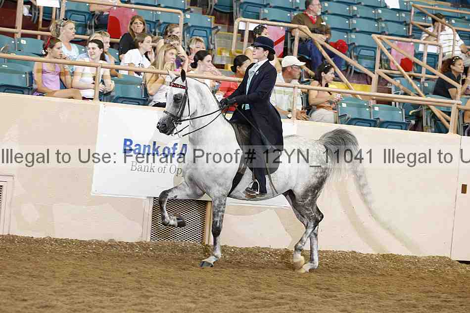 Proof 12yn_11041