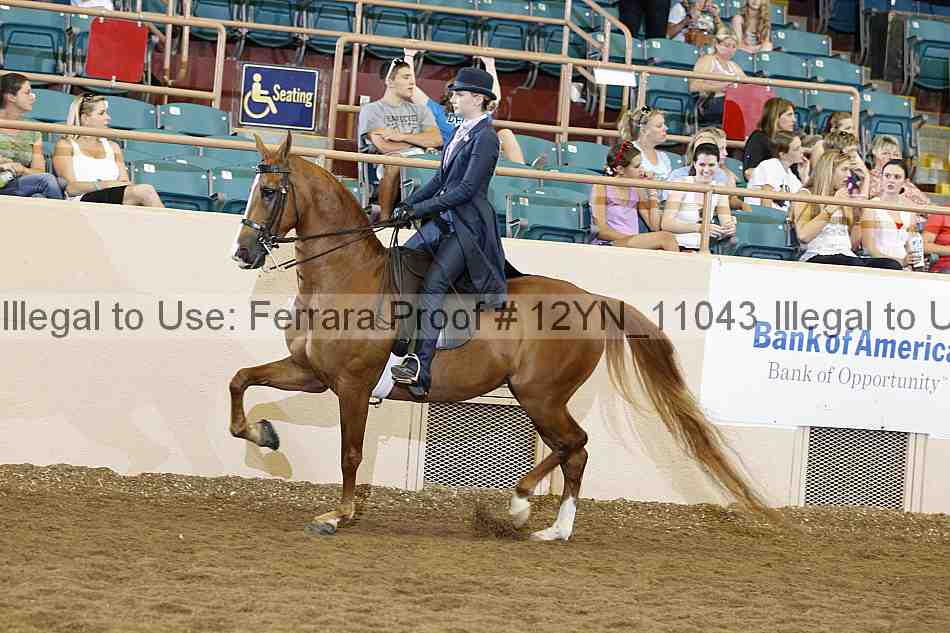 Proof 12yn_11043