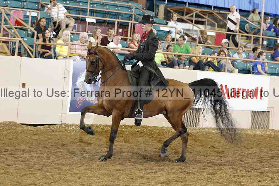 Proof 12yn_11045