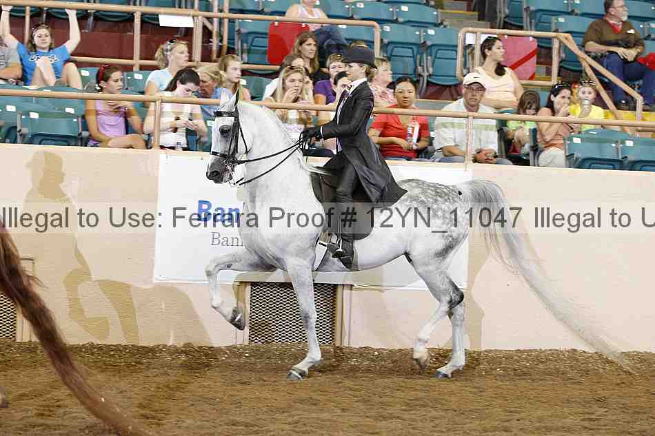 Proof 12yn_11047