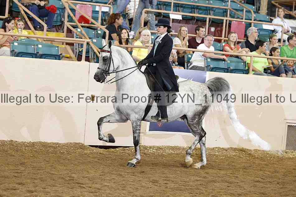 Proof 12yn_11049