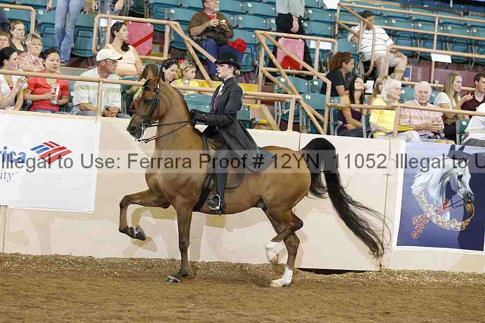Proof 12yn_11052