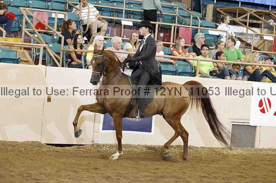 Proof 12yn_11053
