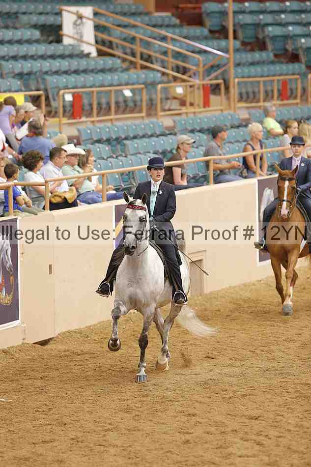 Proof 12yn_11054