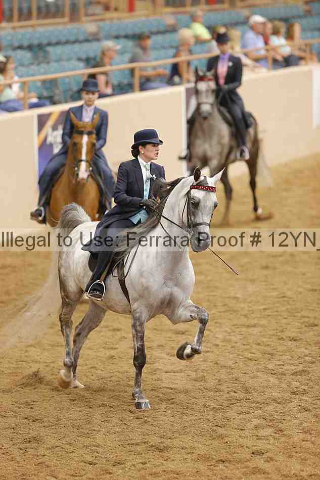 Proof 12yn_11055