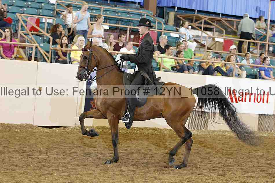 Proof 12yn_11058