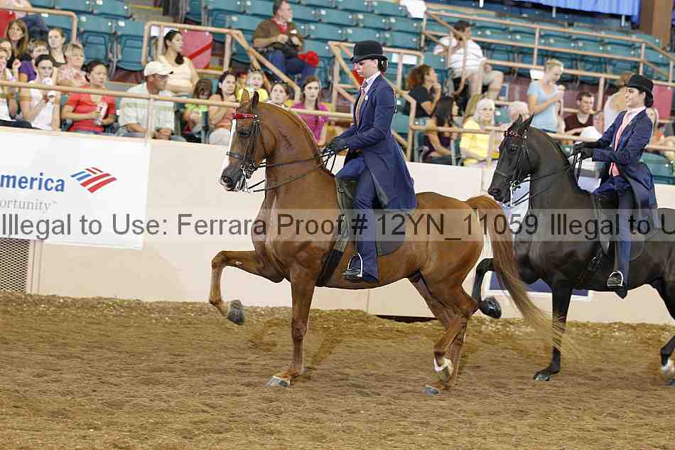 Proof 12yn_11059
