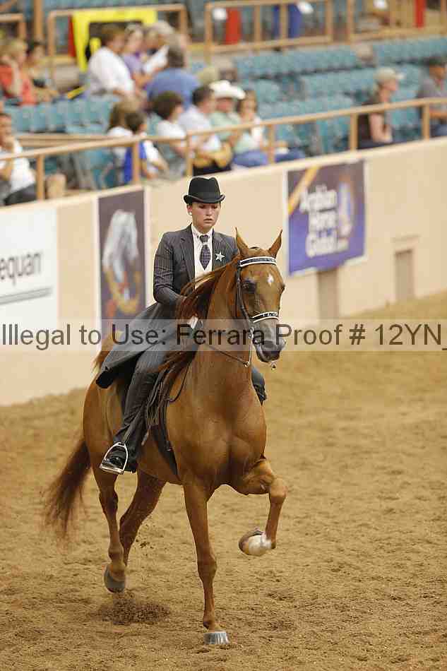 Proof 12yn_11060