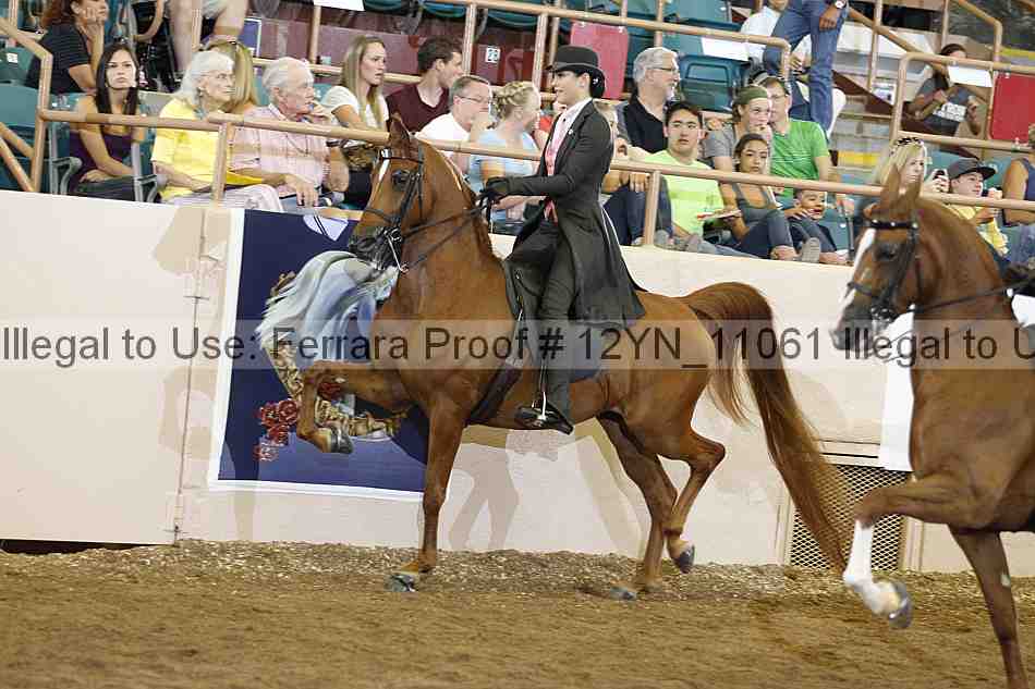Proof 12yn_11061
