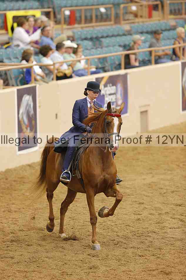 Proof 12yn_11063