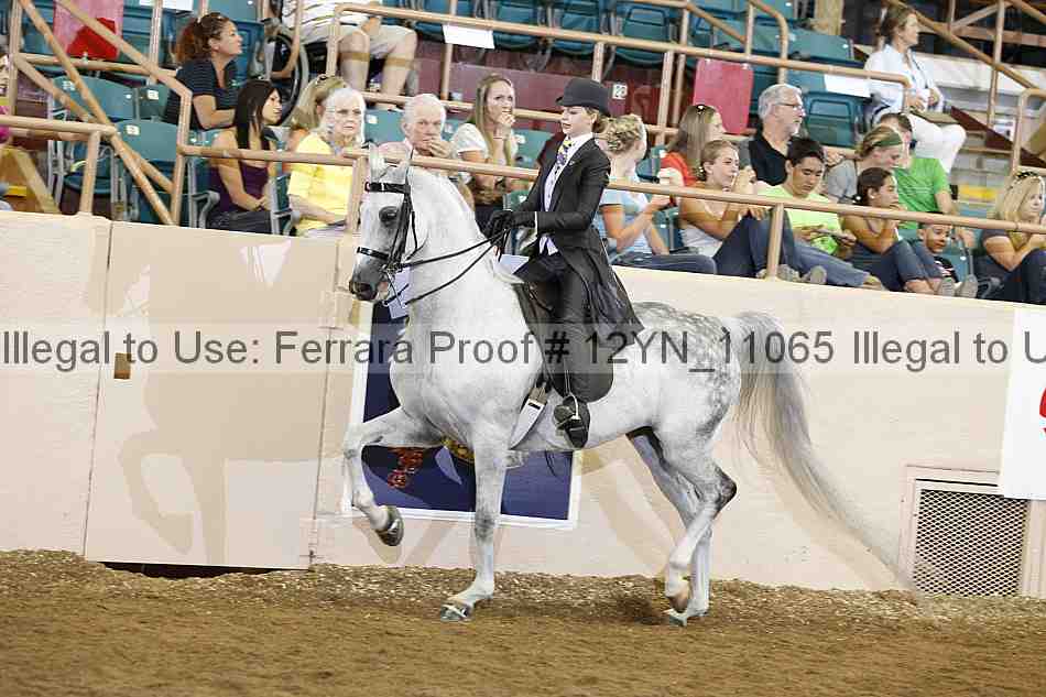 Proof 12yn_11065