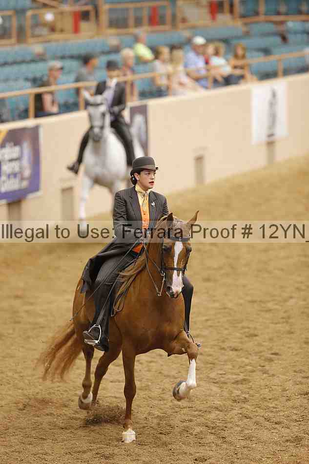 Proof 12yn_11066