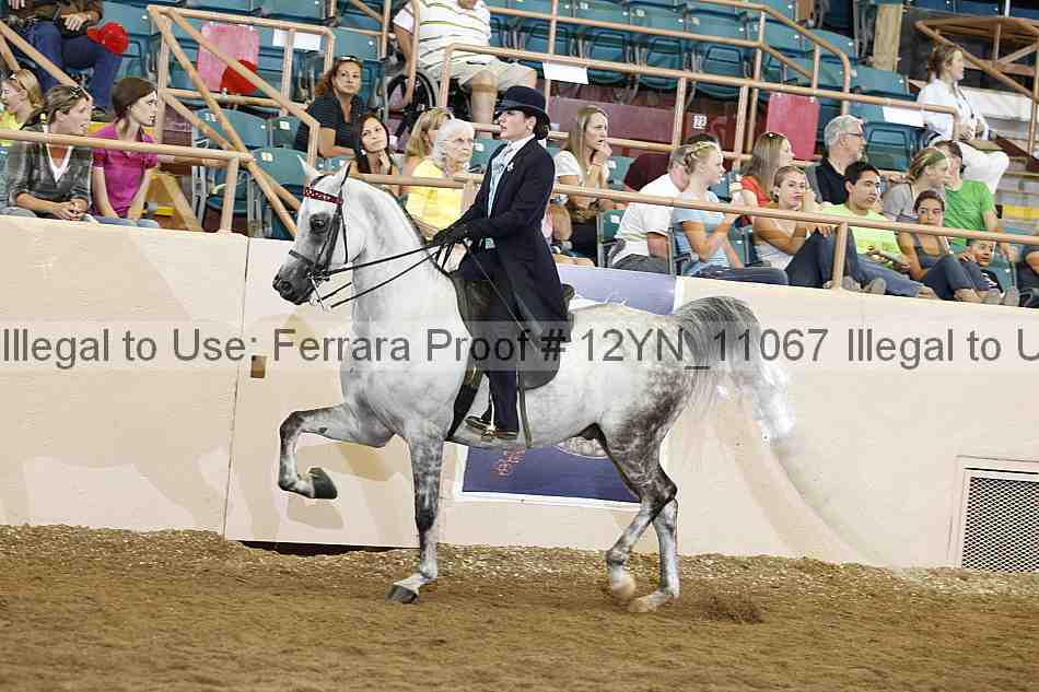 Proof 12yn_11067