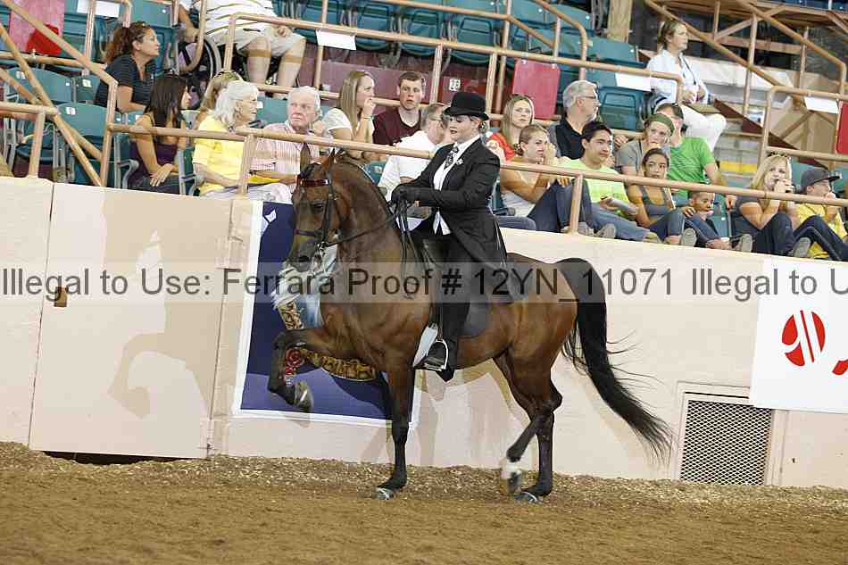 Proof 12yn_11071
