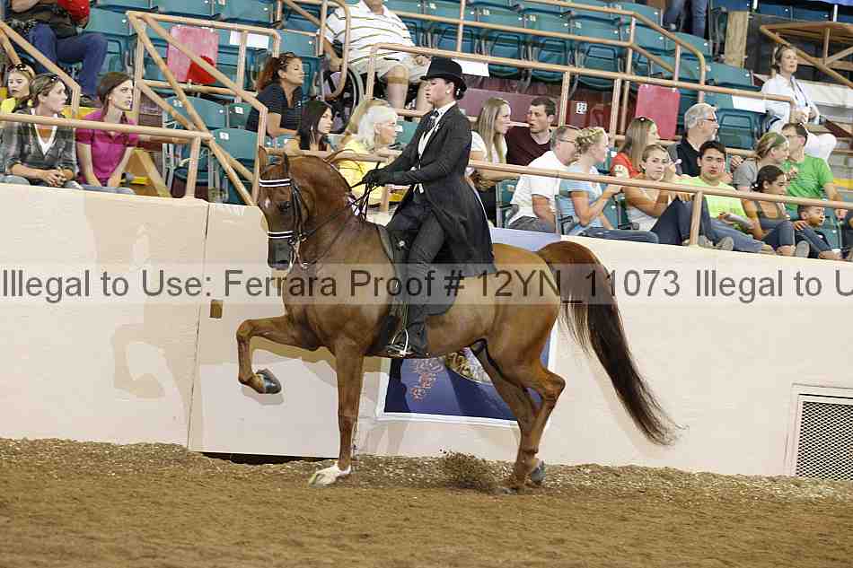 Proof 12yn_11073