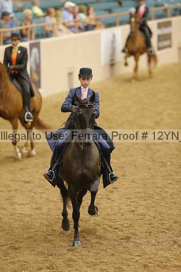 Proof 12yn_11077