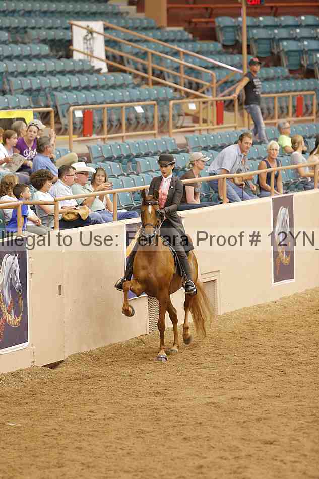 Proof 12yn_11078