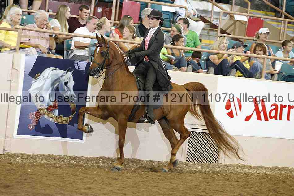 Proof 12yn_11079